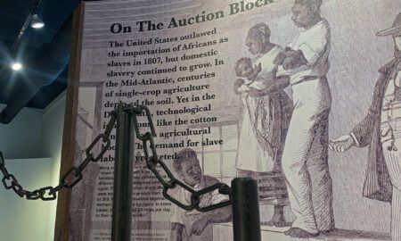 Black Holocaust Museum