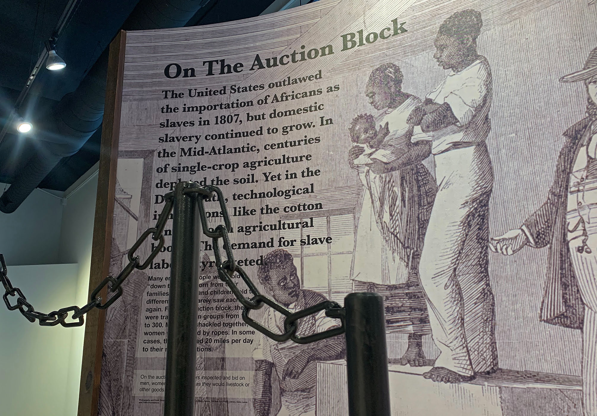 Black Holocaust Museum