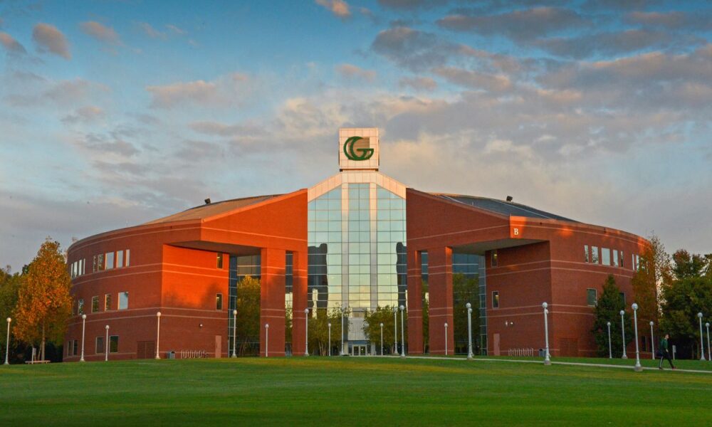 D2L Ggc The Experts Guide To Achieving More While Managing Stress Effectively - t7i87u7