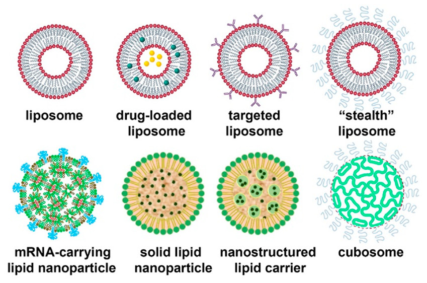lipid nanoparticle formulation