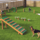 dog agility course