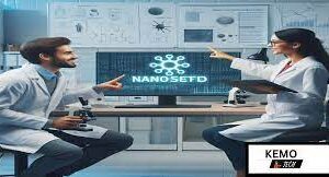 Nanosetfld