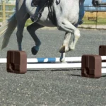 Equestrian Equipment